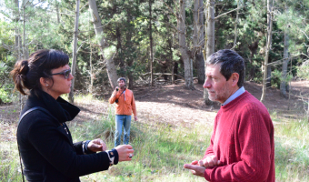 Ingenieros FORESTALES trabajan para conocer el estado forestal de Mar de las Pampas
